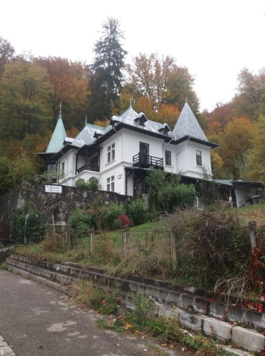 Il Piccolo Castello Buşteni Exterior foto