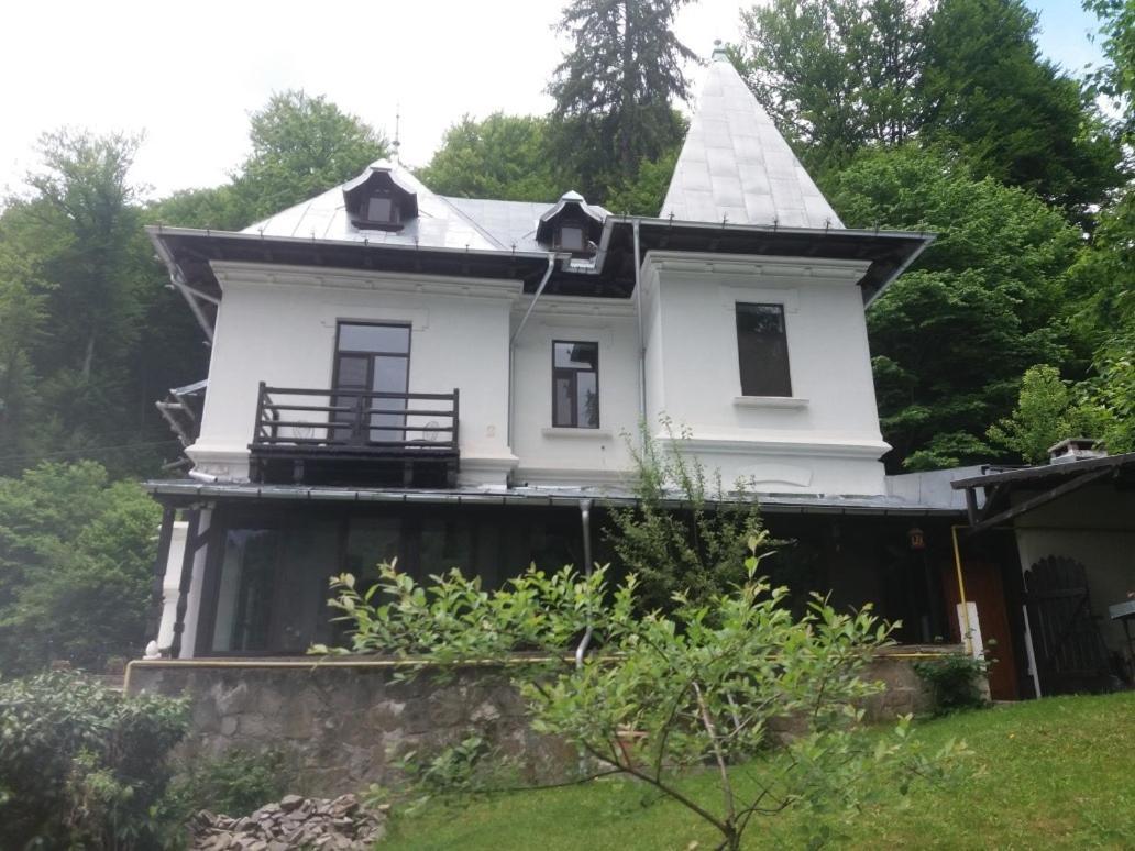Il Piccolo Castello Buşteni Exterior foto
