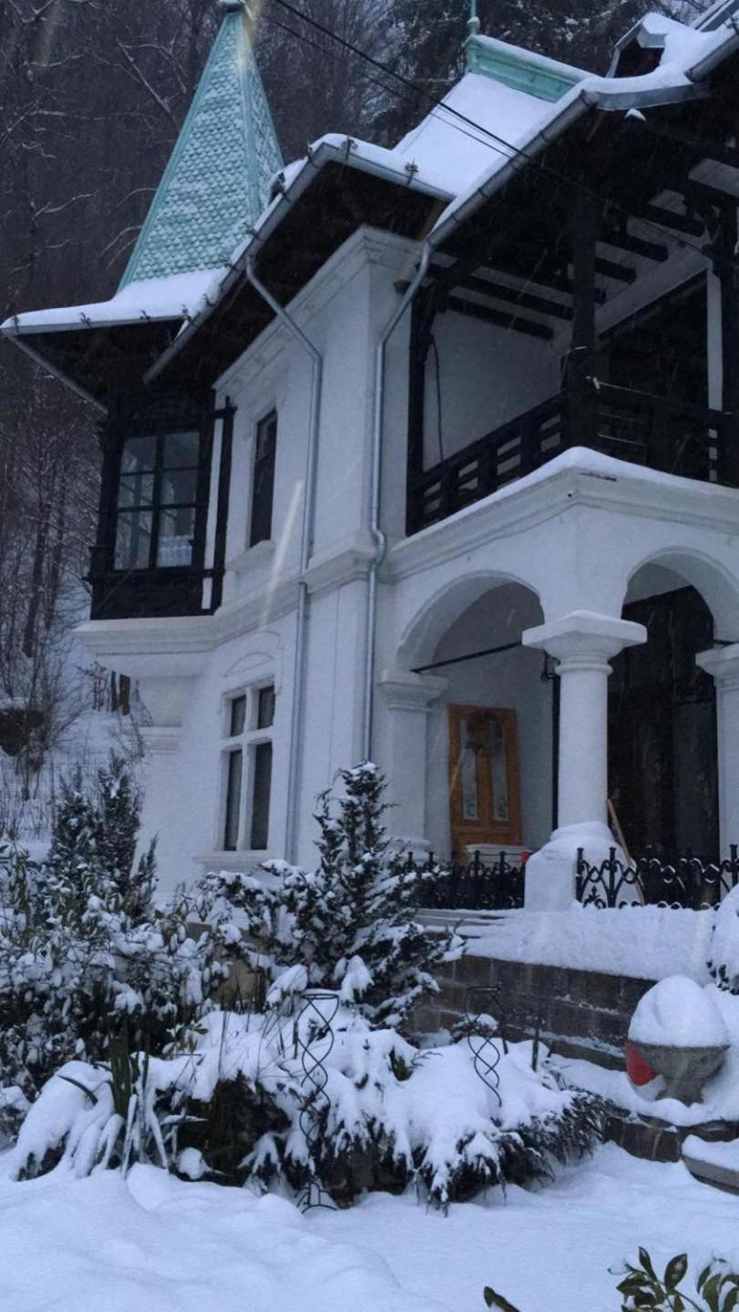 Il Piccolo Castello Buşteni Exterior foto