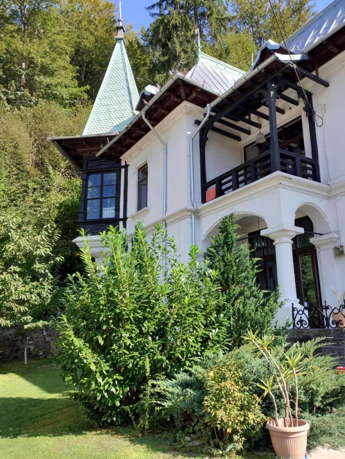 Il Piccolo Castello Buşteni Exterior foto