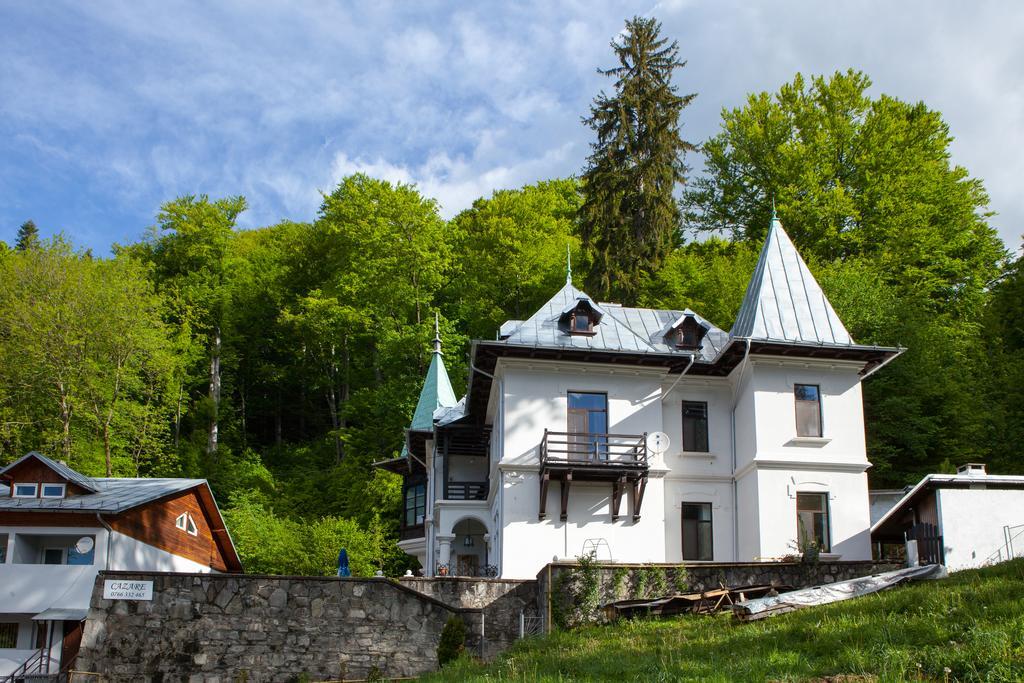 Il Piccolo Castello Buşteni Exterior foto